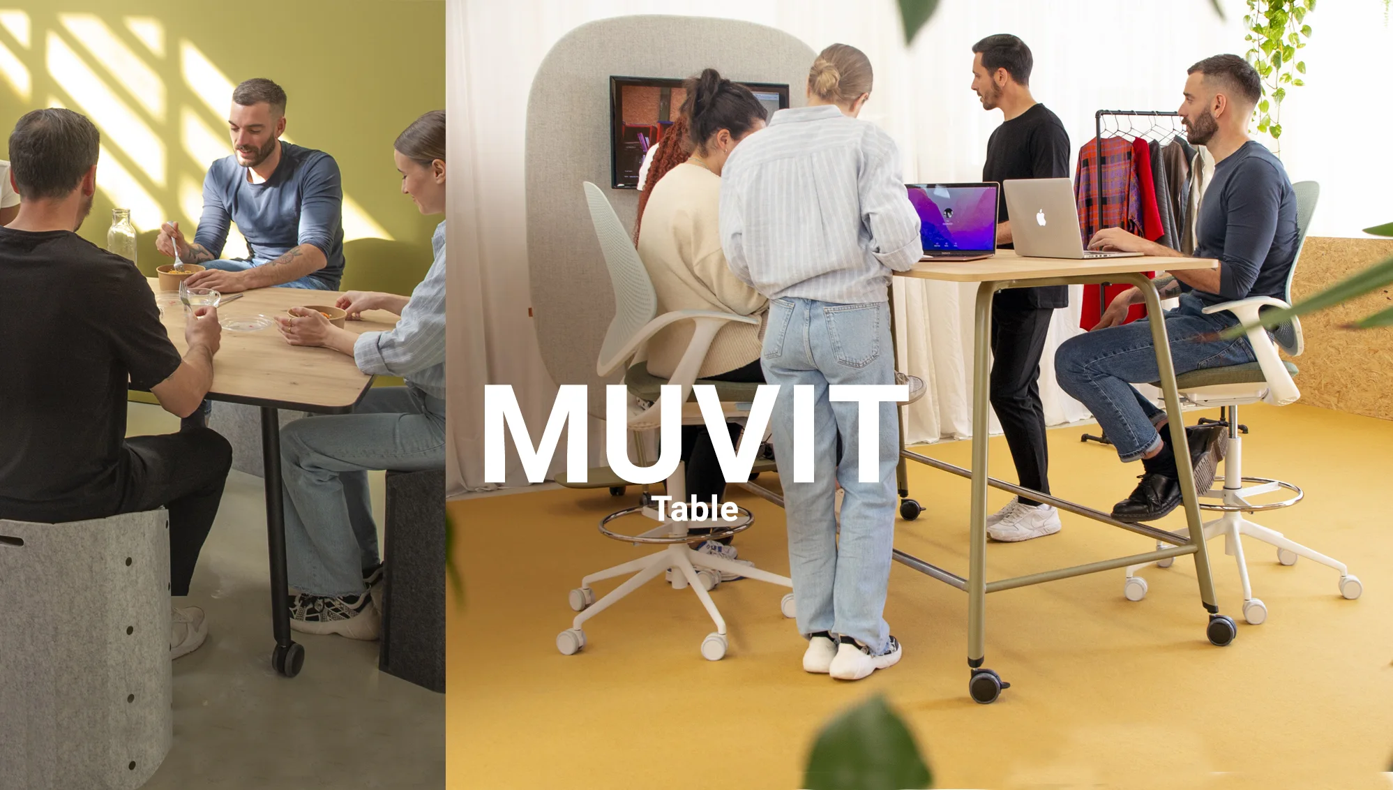 Muvit-Table3